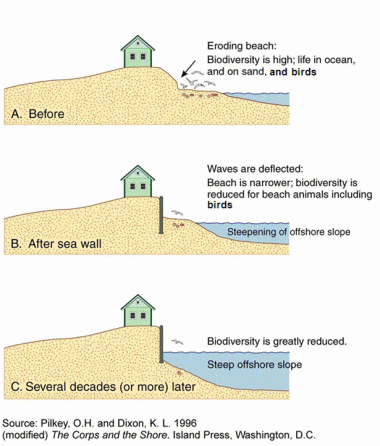 sea erosion diagram