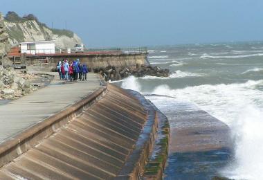 Seawalls. Credit: Surfrider Foundation